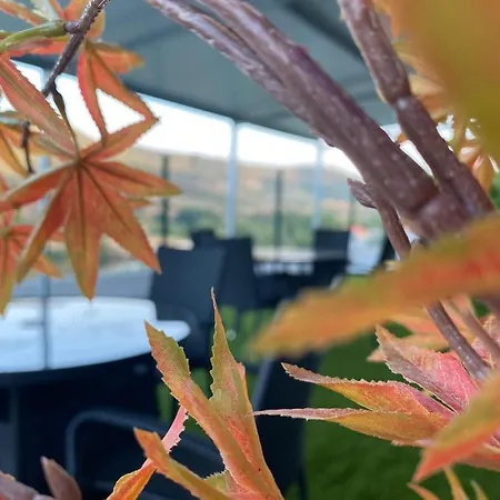 Coracao D'ouro ベッド・アンド・ブレックファスト 3*