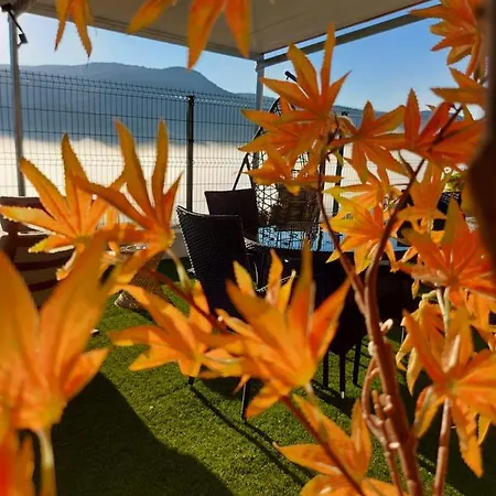 Panzió Coracao D'ouro