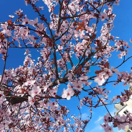 Oda ve Kahvaltı Coracao D'ouro 3*