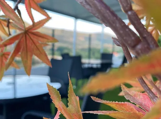 Coracao D'ouro Frühstückspension 3*