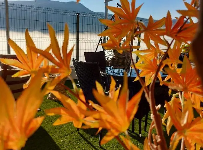 Frühstückspension Coracao D'ouro